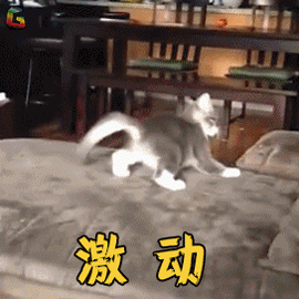 微信图片_20191024144825.gif